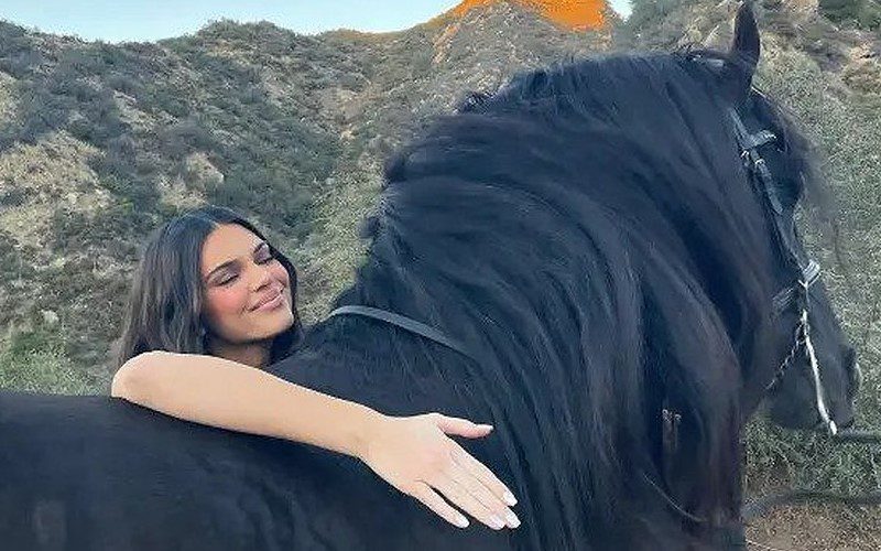 Kendall Jenner Dragged For Flaunting $9K Hermes Horse Saddle