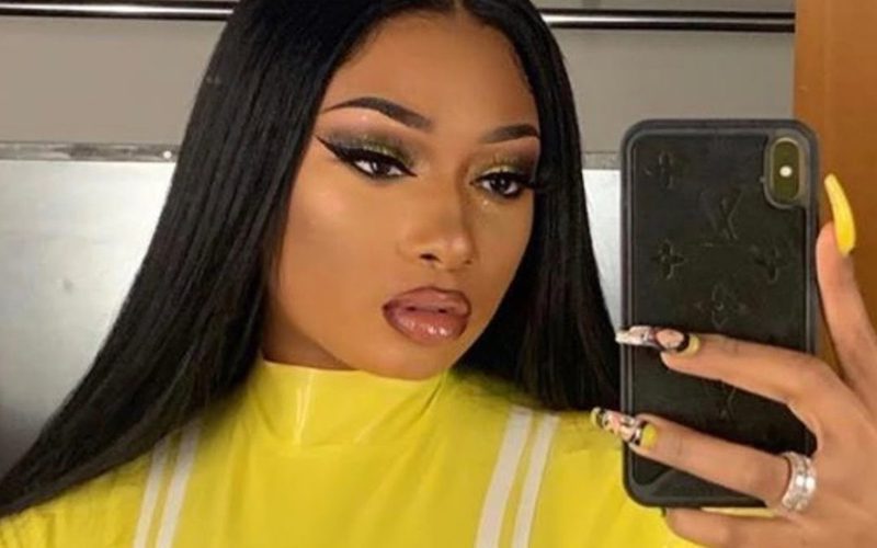 Megan Thee Stallion Blasts Twitter User For Saying Tory Lanez Didn’t Shoot Her