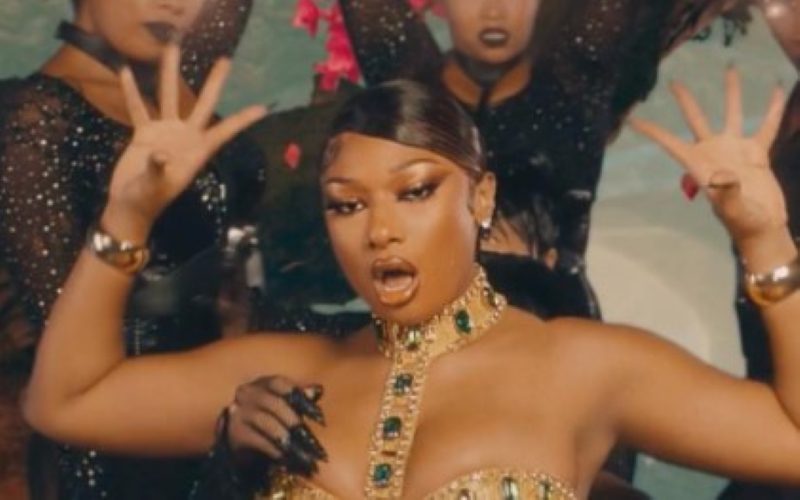 Megan Thee Stallion Shares Bold Photo From Sweetest Pie Music Video
