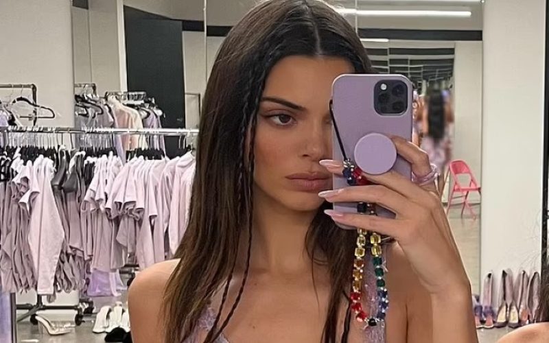 Kendall Jenner Puts On Bold Display In Cut-Out Lilac Dress