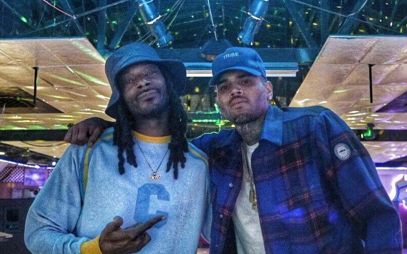 Snoop Dogg & Chris Brown Rock Out At Private Party