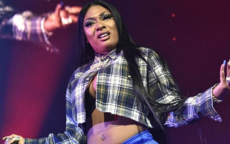Megan Thee Stallion Goes Off On Record Label After Countersuit