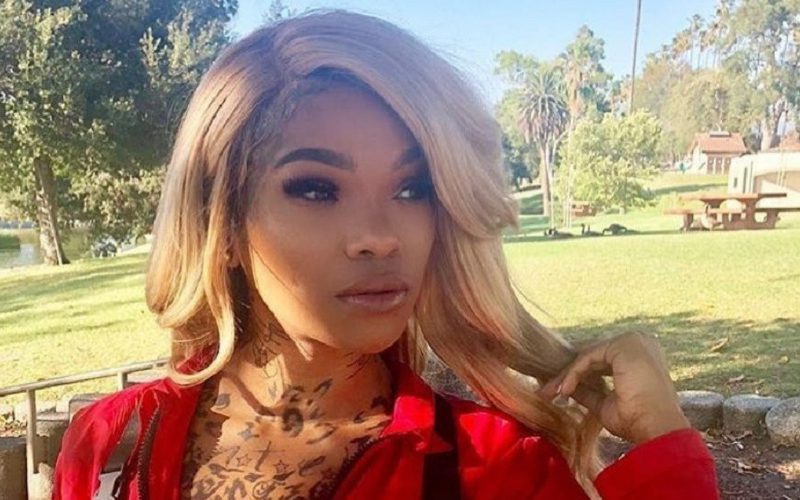 Love & Hip Hop’s Apple Watts In Serious Car Accident