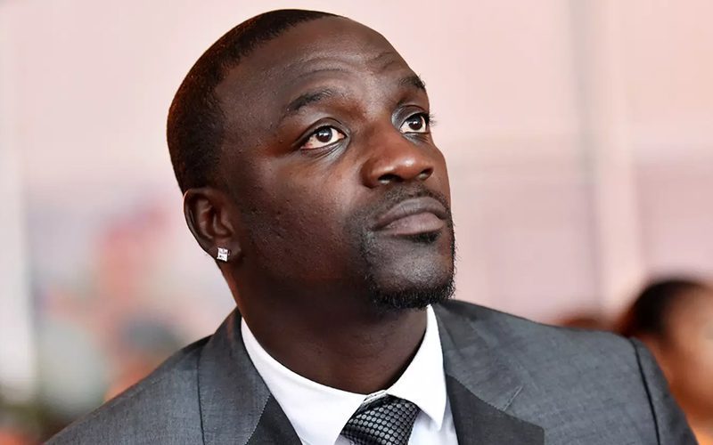 Akon’s New Age African City Compared To Ponzi Scheme