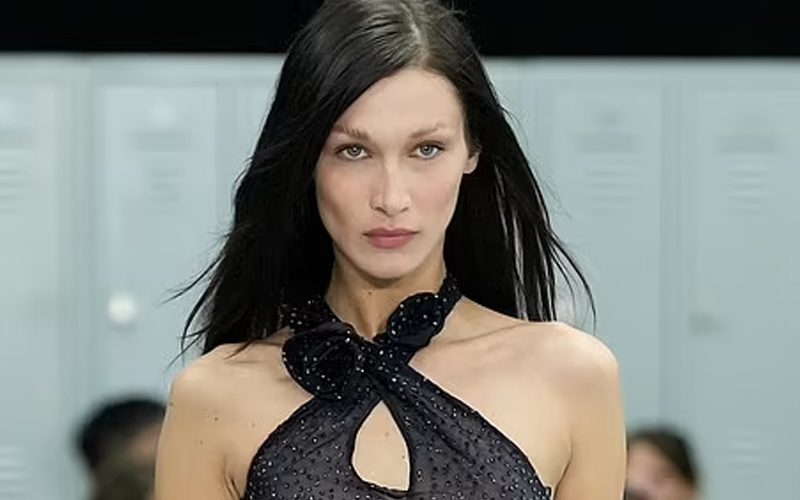 Bella Hadid Leaves Little To The Imagination With See-Through Dress