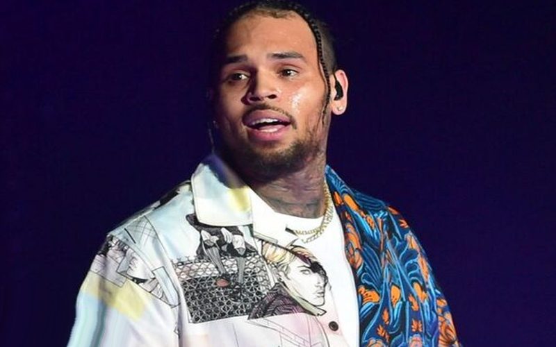 Texts Between Chris Brown & His Accuser Revealed