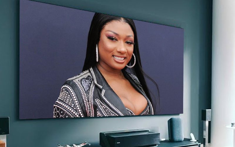 Megan Thee Stallion Is Getting Her Own Documentary Series