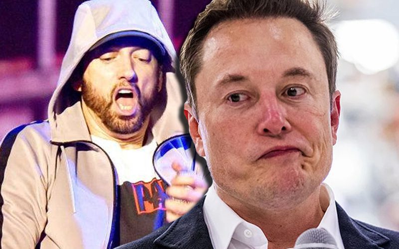 Elon Musk Says Him And Eminem Are Basically Identical