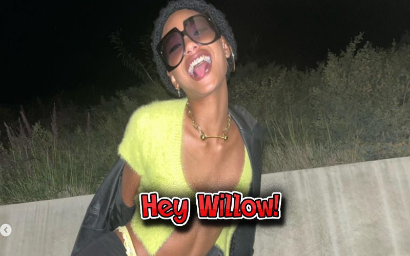 Willow Smith Shows Tons Of Skin & Her Vibe With New Photo Drop