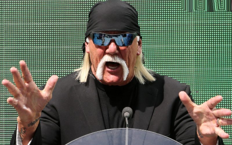 Hulk Hogan Speaks On How He Wants To Be Remembered