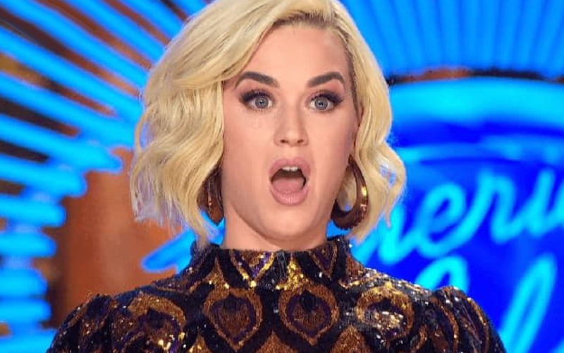Katy Perry Called Biased & Emotional As American Idol Fans Want Her Off The Show