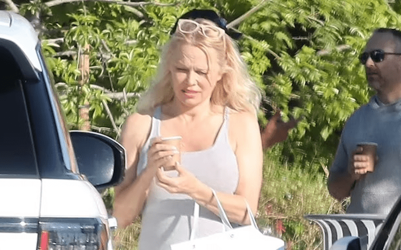 Pamela Anderson Stuns In Knee-High Boots & White Dress Following Divorce