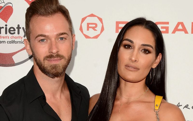 Nikki Bella Is Holding Off Marriage With Artem Chigvintsev For Financial Reasons