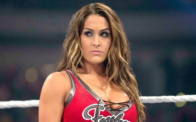 Nikki Bella Was Yelled At For Winning WWE Diva Of The Year Award