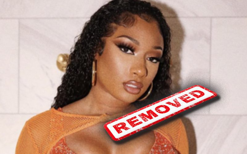 Megan Thee Stallion Was Removed From Savage X Fenty Website Due To Contract Expiring
