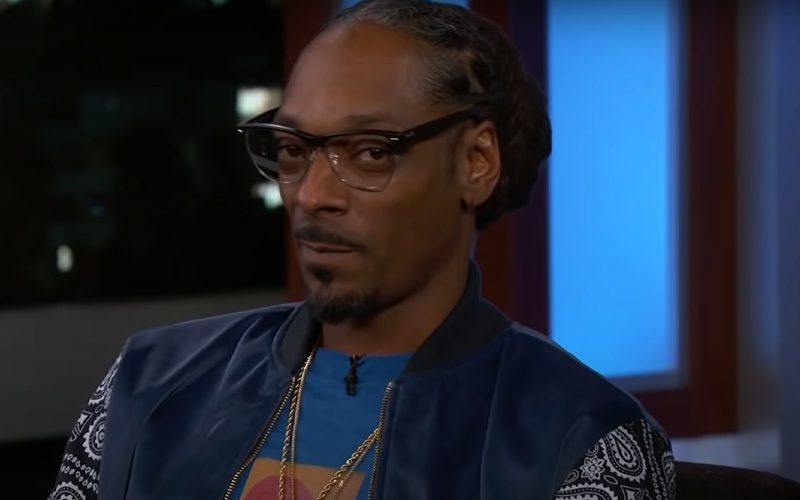 Snoop Dogg Files Three-Pronged Defense To Dismiss Assault Claim