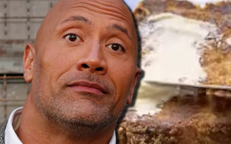 The Rock Shows Off Yet Another Cheat Meal