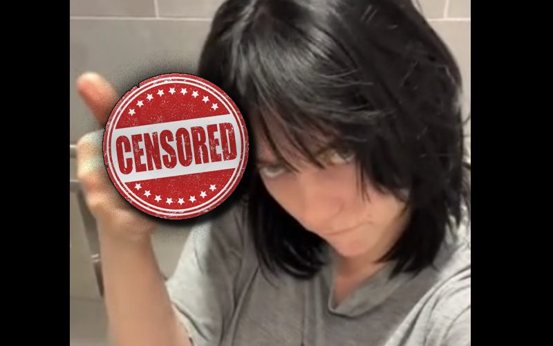 Billie Eilish Flips Off TikTok Hater While Sitting On The Toilet