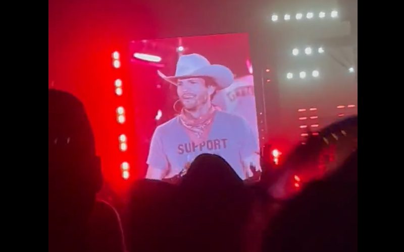 Ashton Kutcher Makes Surprise Appearance On Stage During Country Music Festival