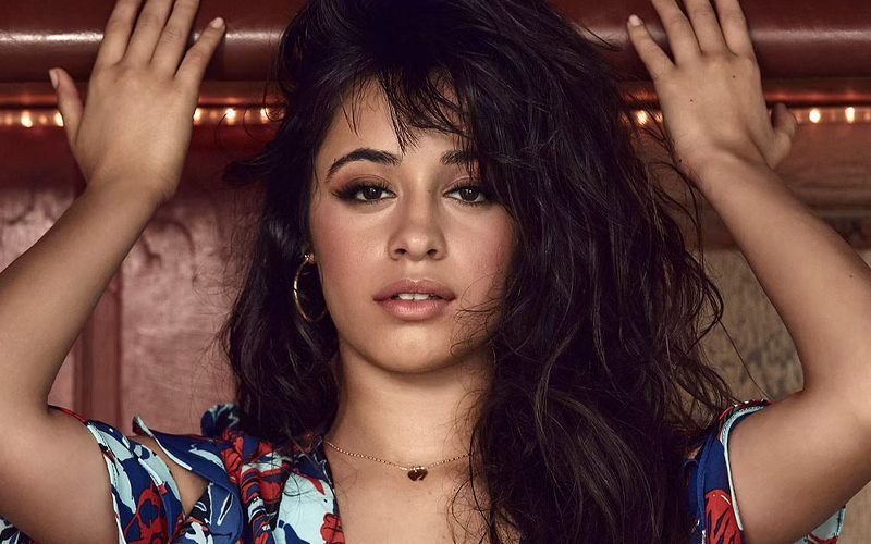 Camila Cabello Confirms ‘Verified’ Men Have Slid Into Her DMs Since Shawn Mendes Breakup