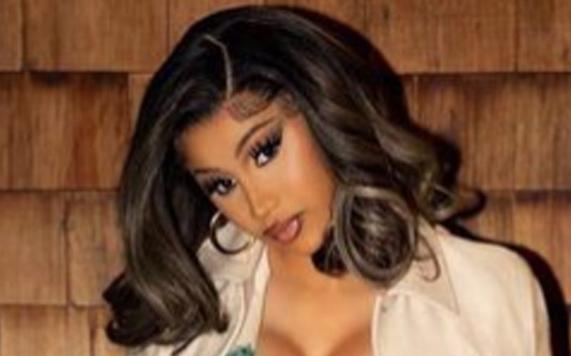 Cardi B Stuns In Revealing Photo Drop After Returning To Social Media