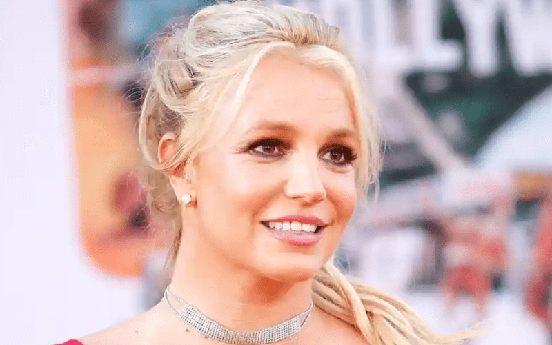 Britney Spears Gives High Reviews To Love Making During Pregnancy