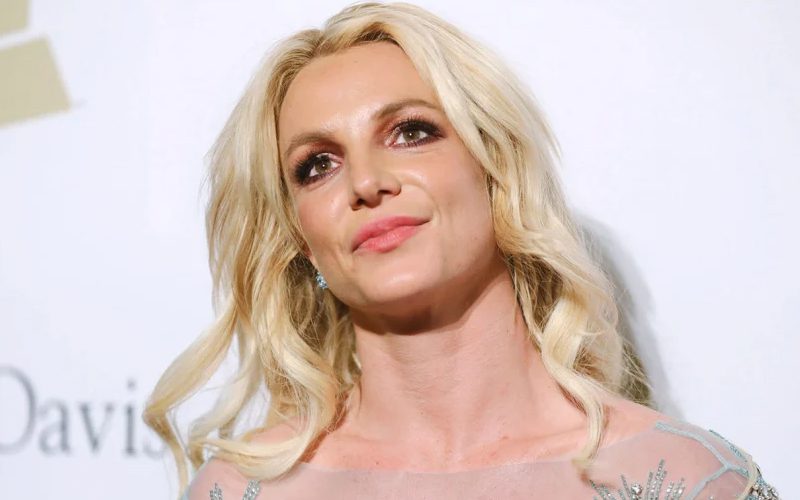 Britney Spears Shares Glimpse Of Wedding Dress Veil Before Marrying Sam Asghari