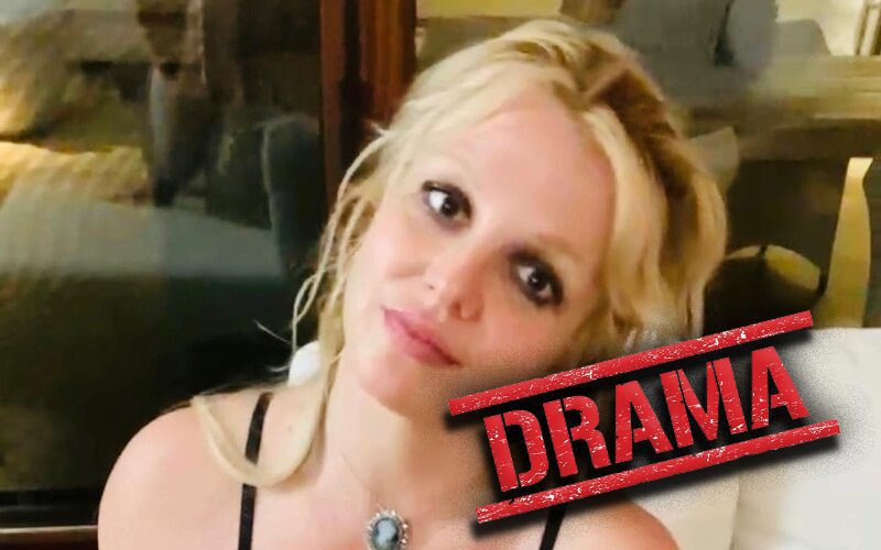 Britney Spears Shades Her Family For Thriving On Drama