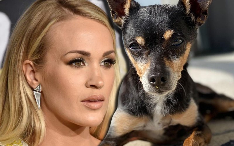Carrie Underwood’s Dog ‘Ace’ Passed Away On Grammys Night