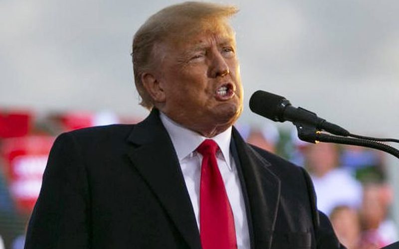 Donald Trump Wants To ‘Shut Up’ The Idea That He’s Dumb
