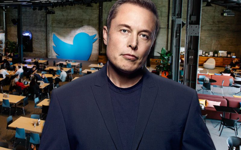 Twitter Staff Under Huge Stress Amid Elon Musk Controversy