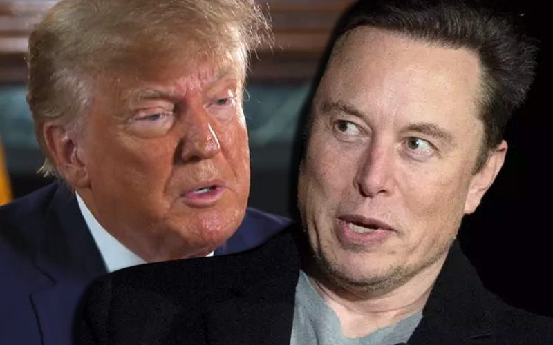 Donald Trump Has No Plan For Twitter Return Even With Elon Musk Take Over