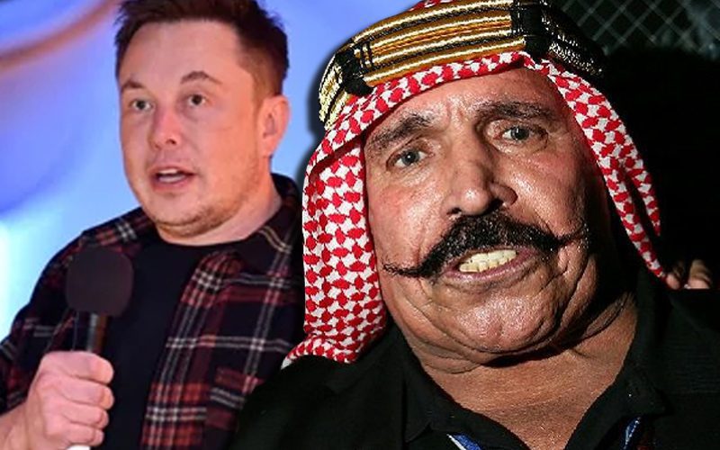 Iron Sheik Reveals How He Could Have Elon Musk Money