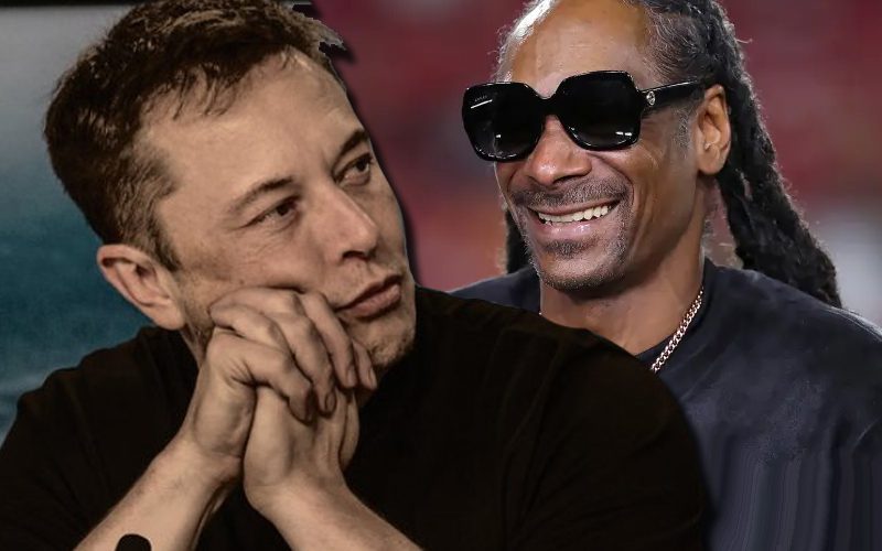 Snoop Dogg Says Elon Musk Owes Him A Tesla