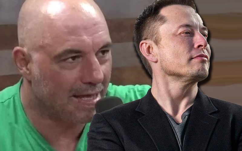 Joe Rogan Calls Elon Musk A Movie Hero After Twitter Takeover