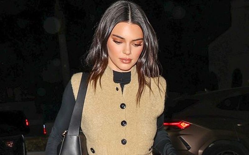 Kendall Jenner Skipped Kardashians Hulu Premiere Event Due To Illness