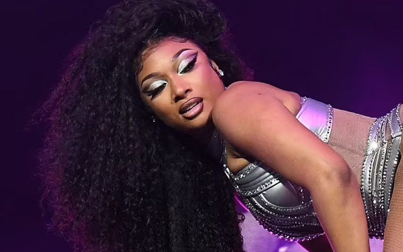 Megan The Stallion Lets It All Hang Out In Jaw Dropping Coachella Performance
