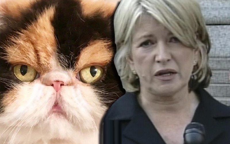 Martha Stewart’s Four Dogs Kill Her Defenseless Cat