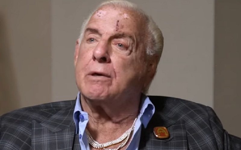 WWE Produced A Memorial Video For Ric Flair In 2017