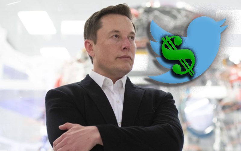 Elon Musk Suggests Radical Changes To Twitter Premium