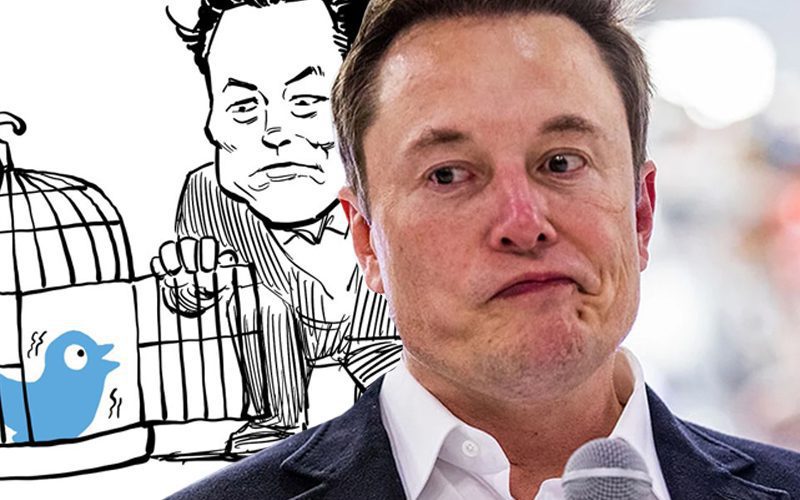 Elon Musk Called Out For Using Stolen Cartoon To Illustrate Twitter Takeover