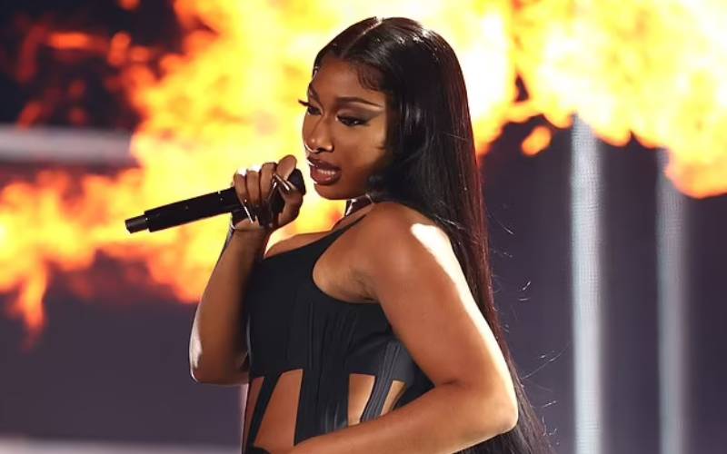 Megan Thee Stallion Leaves Little To Imagination In Racy Outfit At Billboard Music Awards