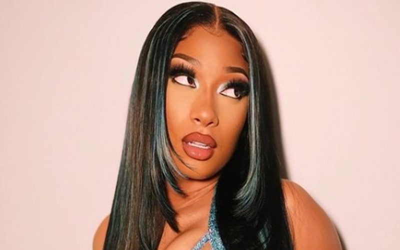 Megan Thee Stallion Sizzles In Super Revealing Photo Drop