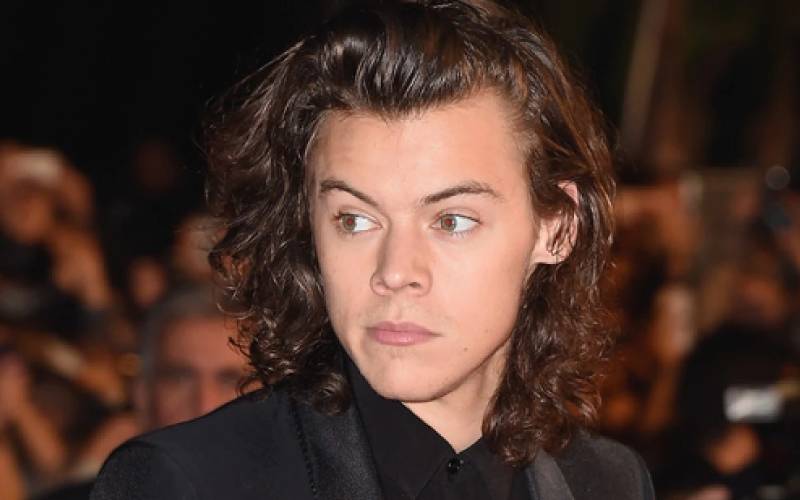 Harry Styles Pauses Concert To Help Fan In Distress