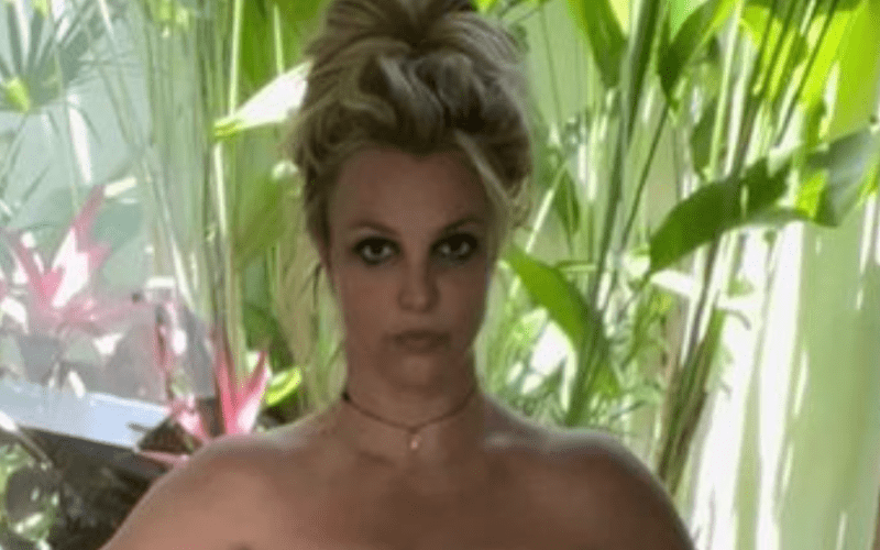 Britney Spears’ Fans Worried About Her After Concerning Instagram Posts