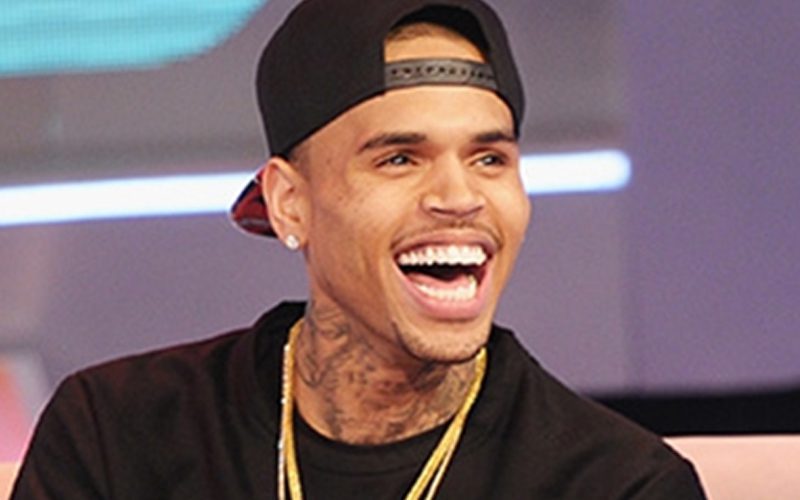 Chris Brown Has A Ton Of Fun At His Daughter’s Birthday Party