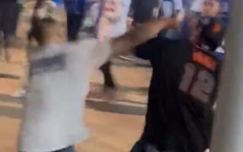 Dodger Stadium Erupts With Violence As Another Baseball Fan Fight Breaks Out