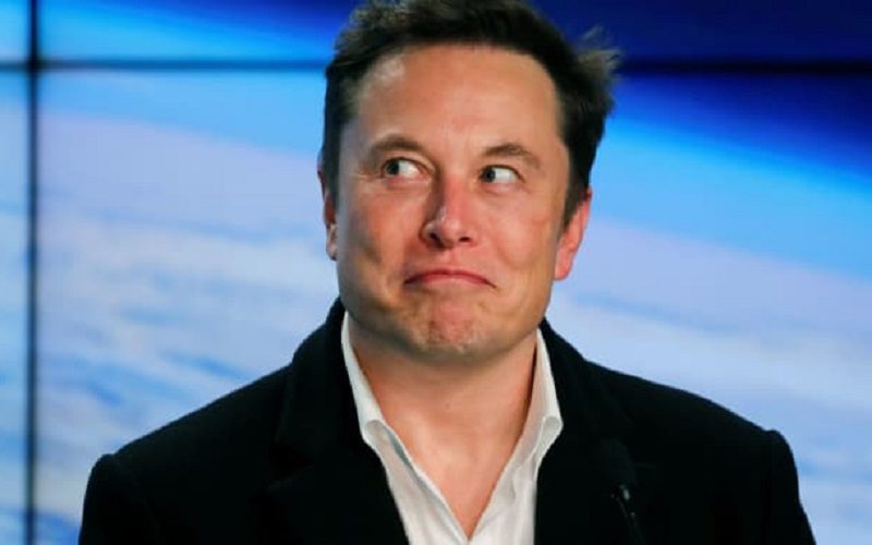 Elon Musk Would Allow Donald Trump To Return To Twitter