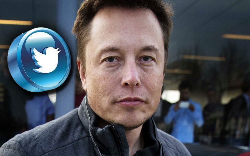 Half Of Elon Musk’s Twitter Followers Are Bot Accounts