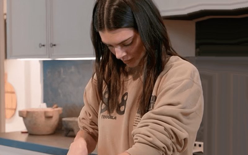 Kendall Jenner Trolled After Having Trouble Cutting A Cucumber